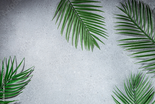 Tropical leaves, Palm plants on light background. Abstract minimalistic scene. top view. place for text © Надія Коваль