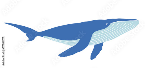 Vector Whale Flat Silhouette Illustration Isolated On A White Background.