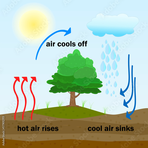 Convection process diagram. Warm air rises and cool air sinks. Hot and cooler air masses.Cloud formation process.Thermal warm and cold air circulation diagram.Science poster design.Vector illustration photo