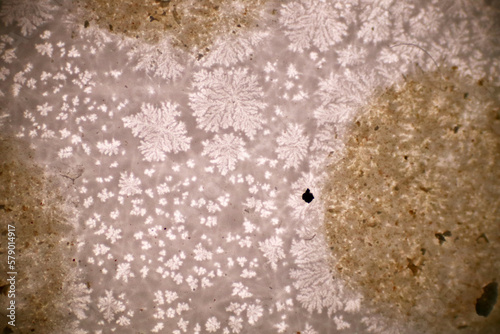 Analysis morphology of microplastic waste contaminated in soil and water sample full of plastic particles. The microscope of flakes type plastics with macro 40x lens environmental health laboratory.