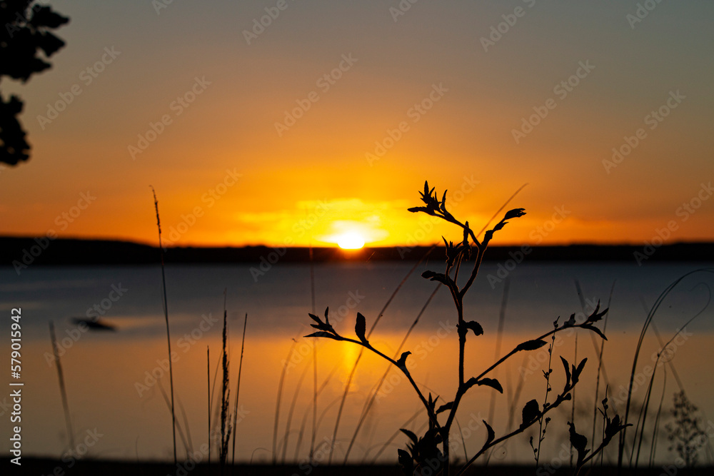 Fototapeta premium sunset on the lake