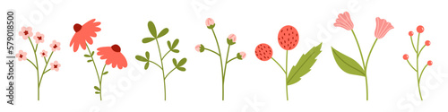 Vector set of various flowers in flat design. Collection of blooming flowers in soft pink and red color. Floral illustration. Spring botanical elements.