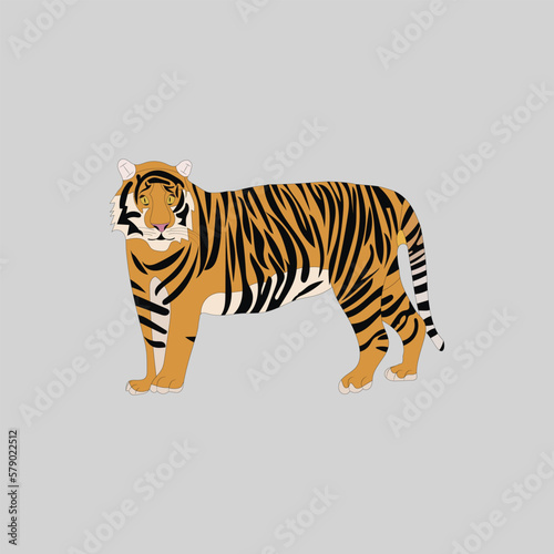  A beautiful tiger vector artwork