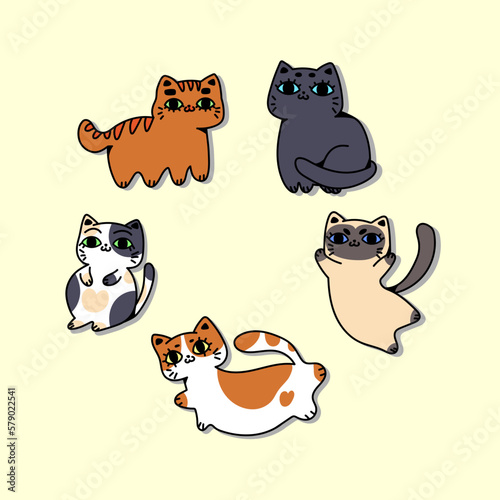 Set de gatos adorables en diferentes poses