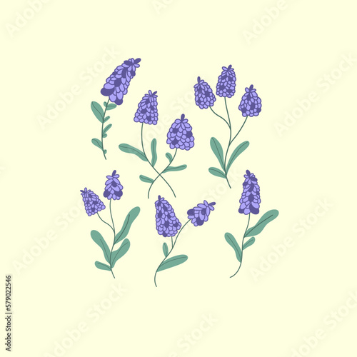 Set de flores de lavanda hechas a mano