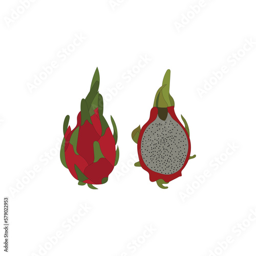 Beautiful dragon fruit vector artwork