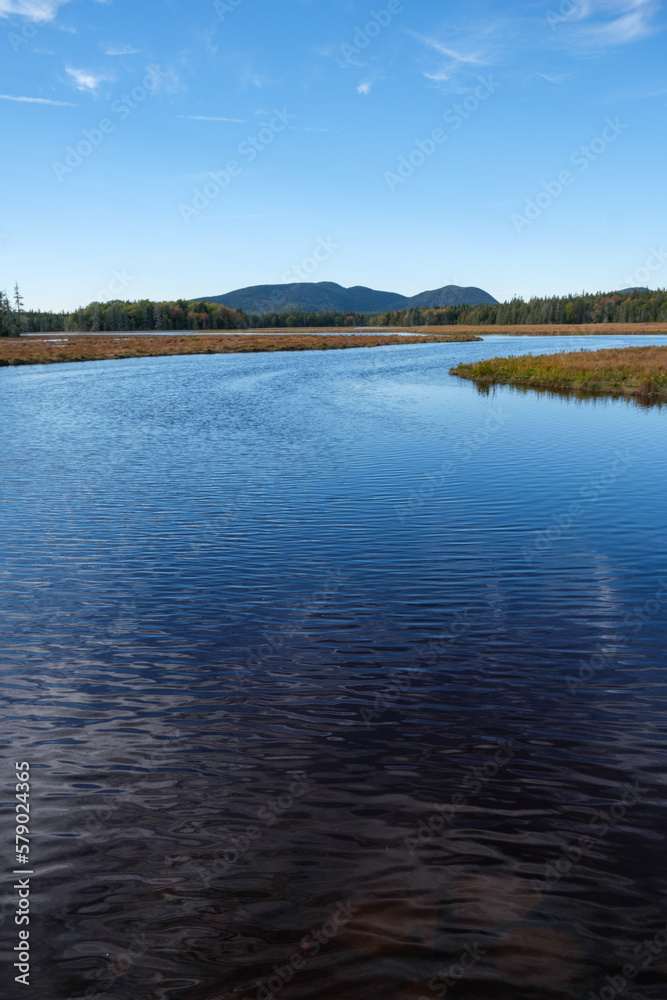Lake in Acadia / Long Pond