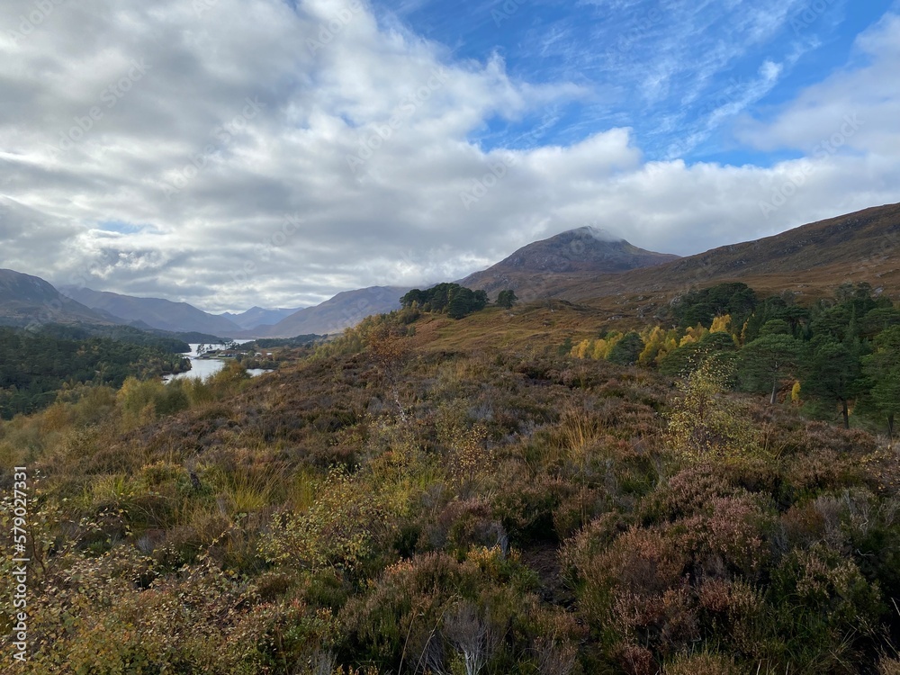 Glen Affric, écosse