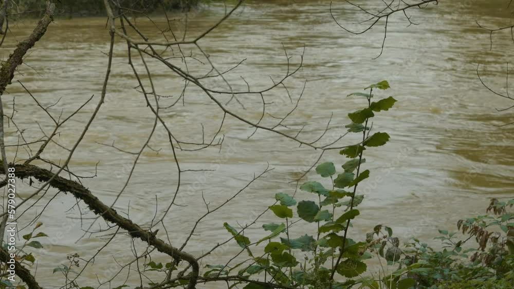 Raised Water Level Of A Fast flowing Muddy River After Heavy Spring raised-water-level-of-a-fast-flowing-muddy-river-after-heavy-spring