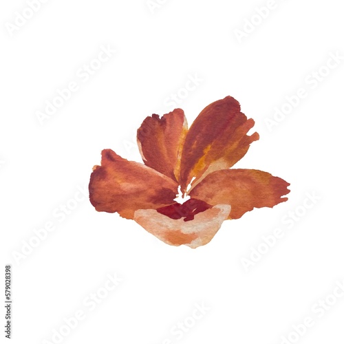 Peony red flower sketch a watercolor illustration 