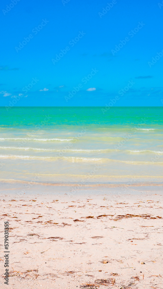 Beautiful Caribbean beach and turquoise water. Holiday summer beach vertical background. Wave of the sea on the sand beach. High quality photo