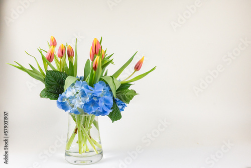 Fotografiet bouquet hortensia bleu et tulipes jaune et orange vase transparent fond crème ho
