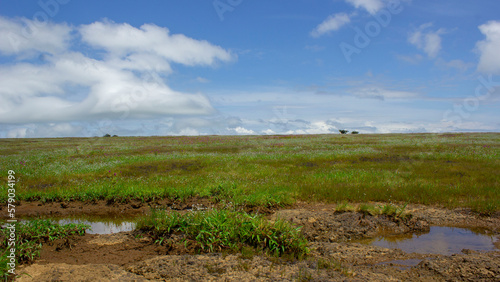 Bild auf Leinwand "Kaas plateau, also known as the valley of flowers, is situated in (the Western