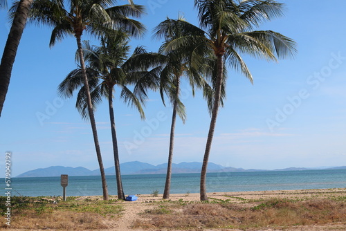 Palmen  Landschaft  Strand  Australien  Erholung