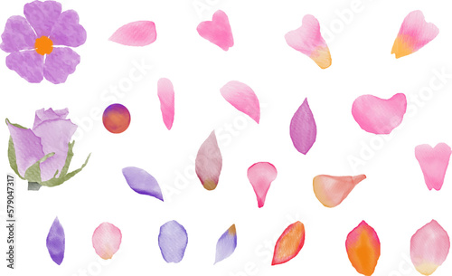 Set of vector watercolor cute flower petals