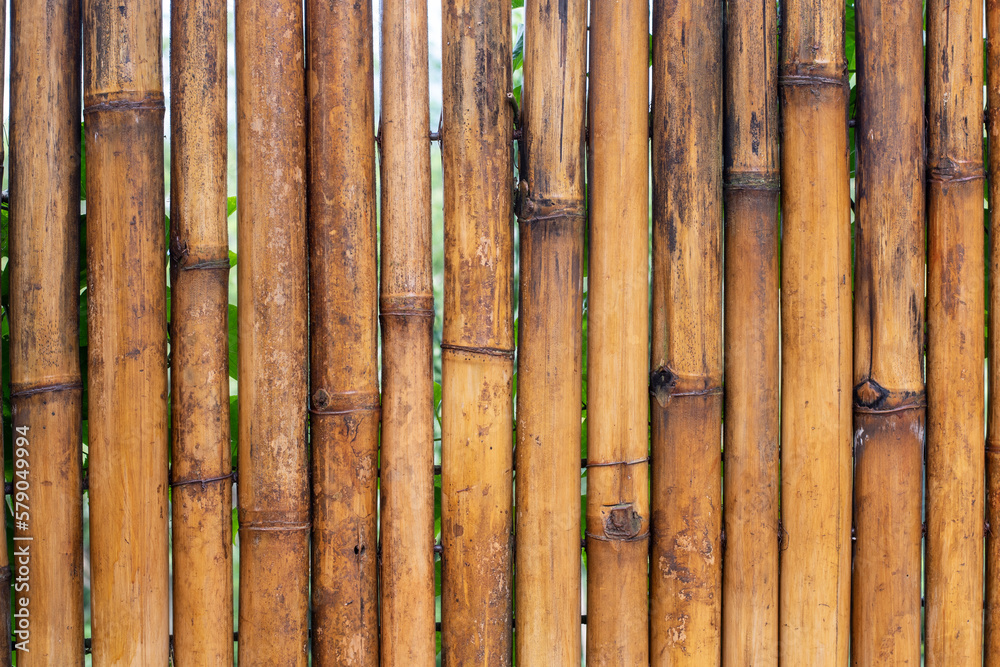 Obraz premium Yellow bamboo fence background material