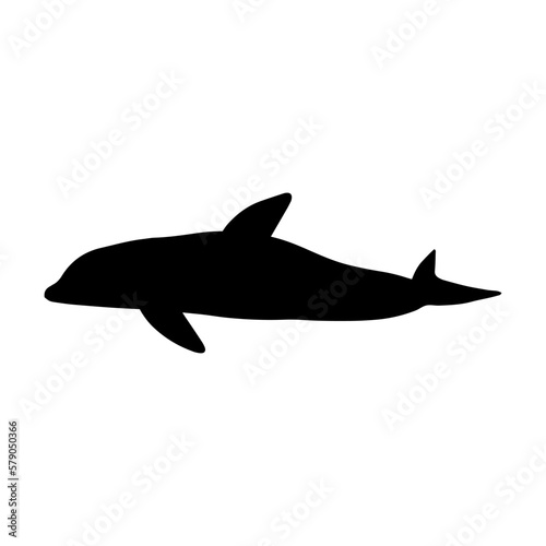 Nautical Dolphin. Sea Underwater animal. Vector illustration