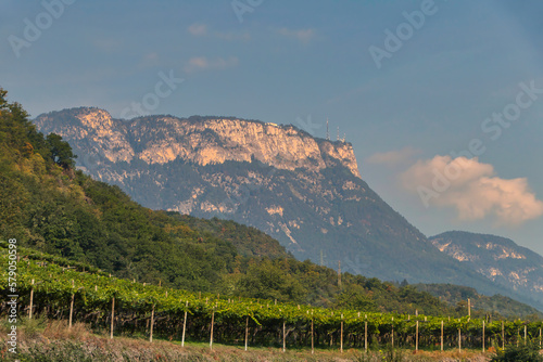 Blick auf einen kleinen Weinberg am Kalterer See in Südtirol, mit Bergmassiv im Hintergrund