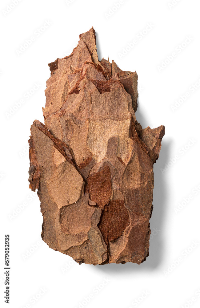 Tree Bark Tree Bark