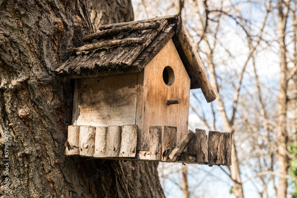 Wooden birdhouse attached to big tree closeup