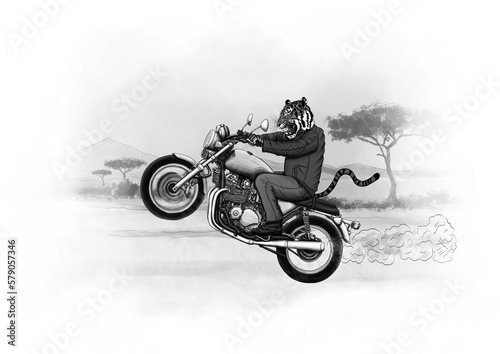 Tiger on a motorcycle. Speed ​​lover in the savannah. Alternative animal life.