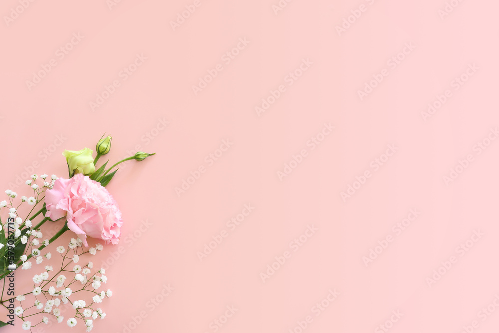 Top view image of delicate pink lisianthus flowers over pastel background