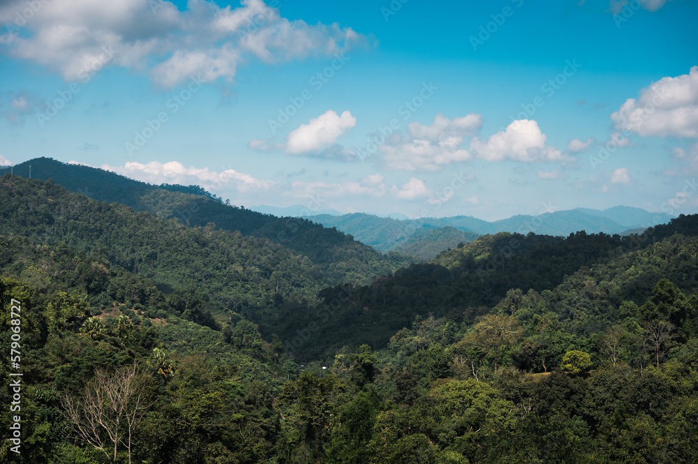 Mountain valley and blue sky in tropical rainforest