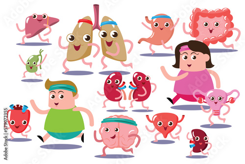 cute vector ,illustration flat cartoon character man, woman and organ uterus, brain, heart, intestine, lung, gallbladder, liver, stomach, kidney, bladder, urinary exercise running together.