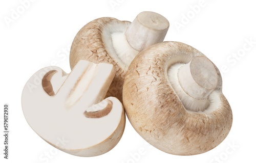Delicious champignon mushrooms cut out photo