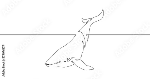 Animation of an image drawn with a continuous line. Whale.