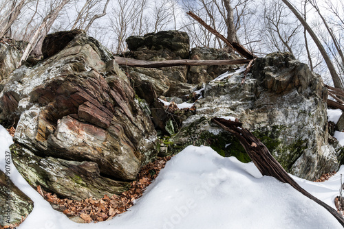 Timber rattlesnake den in winter -New York  photo