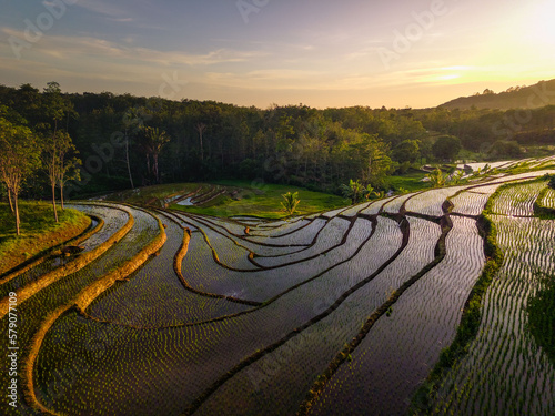 Beautiful morning view indonesia panorama landscape paddy fields with beauty color and sky natural light