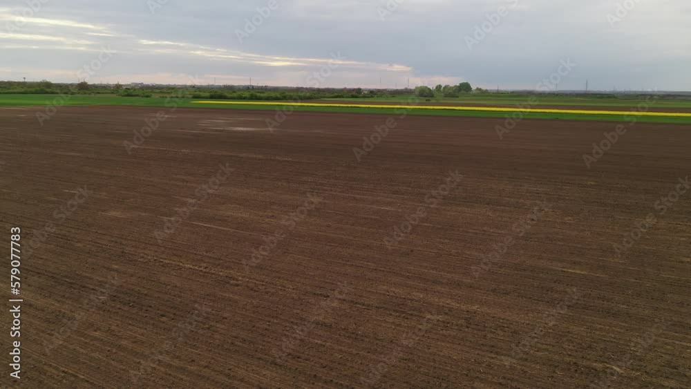 Drone flying over cultivated fields in spring sunset - plowed land, wheat grass and rapeseed plantation Drone flying over cultivated fields in spring sunset - plowed land, wheat grass and rapeseed plantation
