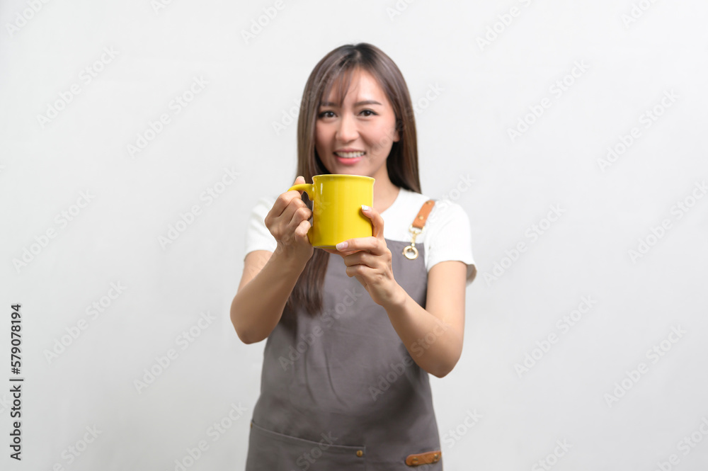 Portrait of young asian woman wearing apron over white background studio, cooking and entrepreneur concept. Portrait of young asian woman wearing apron over white background studio, cooking and entrepreneur concept.