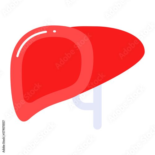 The latest in modern style vector human liver organ icon