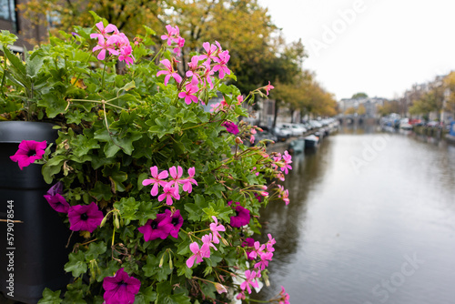 Beautiful Colorful Flowers on a Bridge along a Canal in the Amsterdam Centrum District