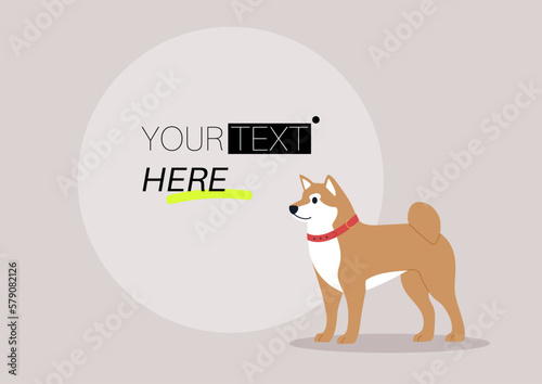 A text template, a young shiba inu dog wearing a collar