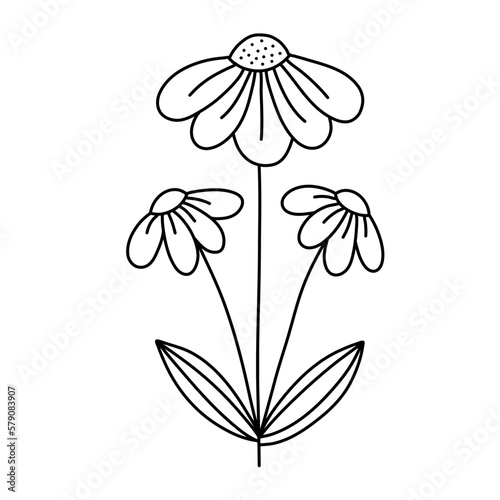 decorative flower doodle