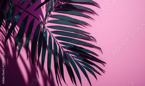  a palm leaf on a pink background with a shadow of a palm leaf on the left side of the frame and a pink background with a shadow of a palm leaf on the right side. generative ai