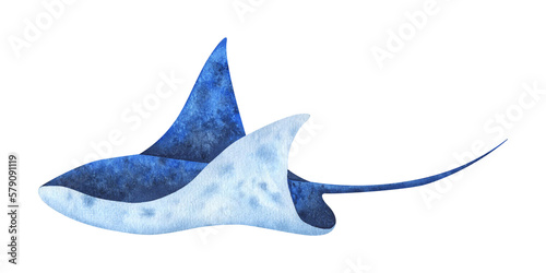 Isolated illustration on white background blue sea stingray. Painted in watercolor.