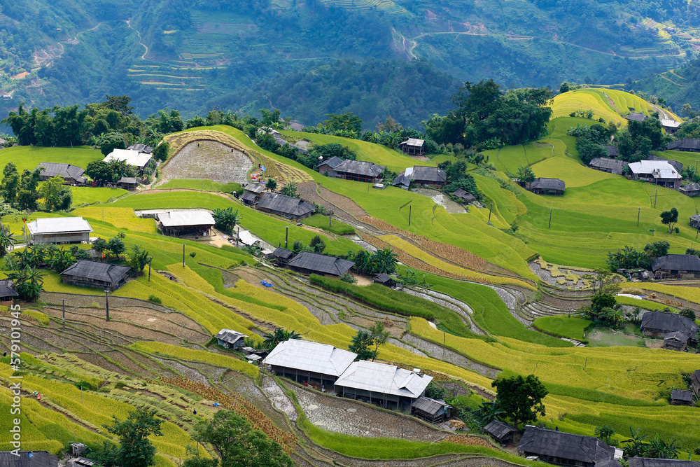 small village and terraced rice field in a valley