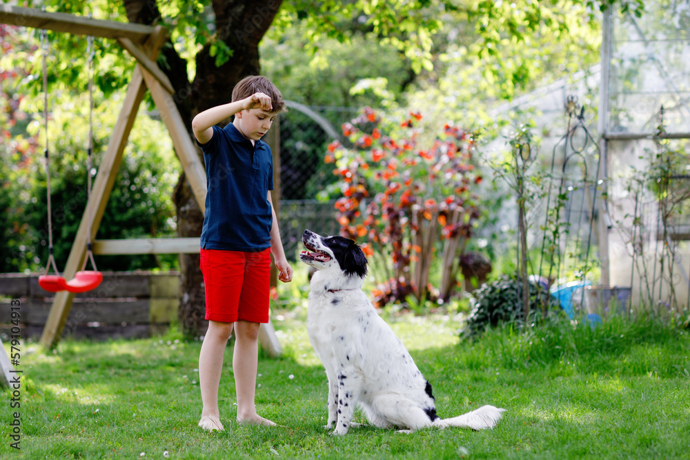 Active kid boy playing with family dog in garden. Laughing school child having fun with training dog, running and playing with ball. Happy family outdoors. Friendship between animal and kids Active kid boy playing with family dog in garden. Laughing school child having fun with training dog, running and playing with ball. Happy family outdoors. Friendship between animal and kids