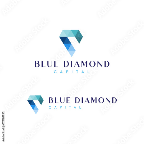 diamond digital logo design vector file