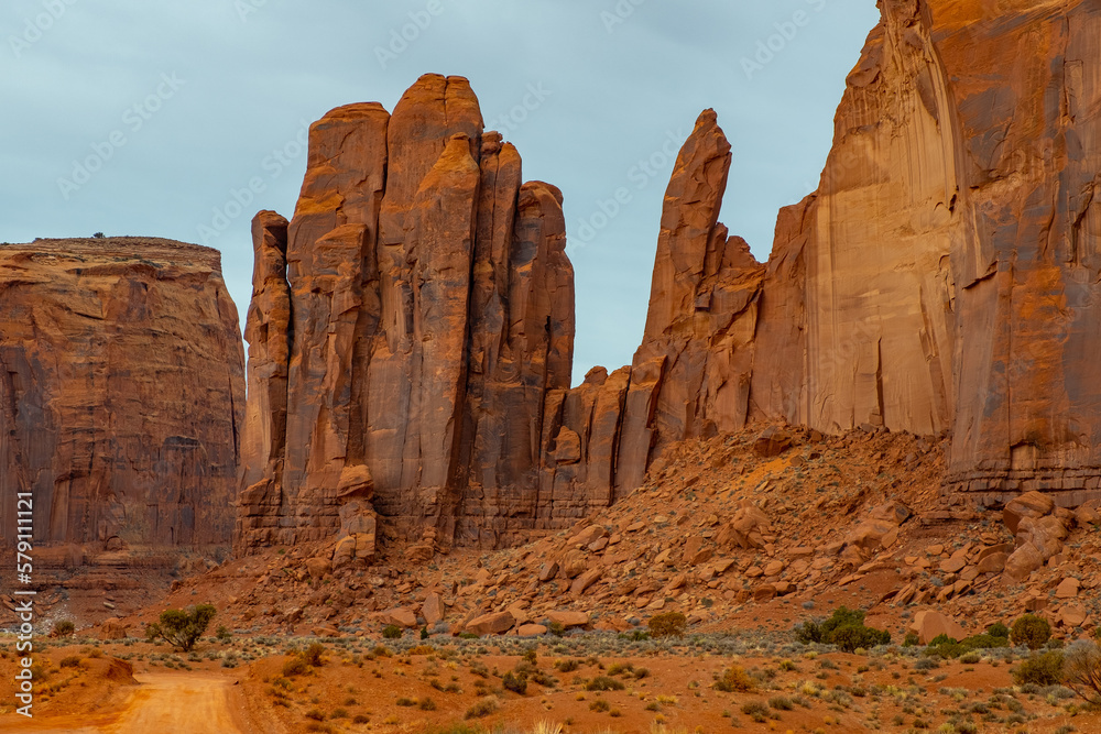 Fototapeta premium Dead Tree in Monument Valley, petrified