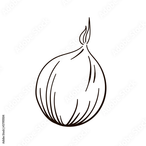 Onion linear icon. Vector icon of onion line art style.