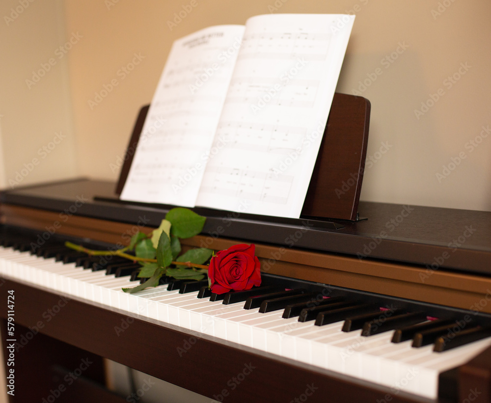 Fototapeta premium scarlet red rose on the piano