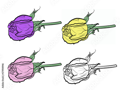 Set of rose flowers isolated on white background. Hand drawn vector illustration.