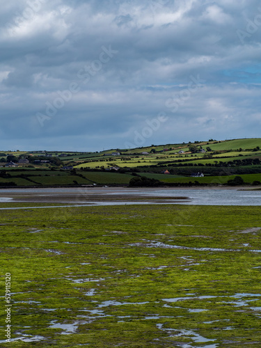 Open seabed after low tide, swamp area. Green hilly landscape. White clouds, sky. The coast of County Cork. Irish landscape