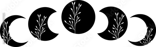 Moon cycle with wild flowers, vector art