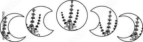 Moon cycle with wild flowers, vector art